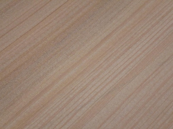 アガチス 南洋材 南洋桂 無垢材 木材
アガチス材 価格